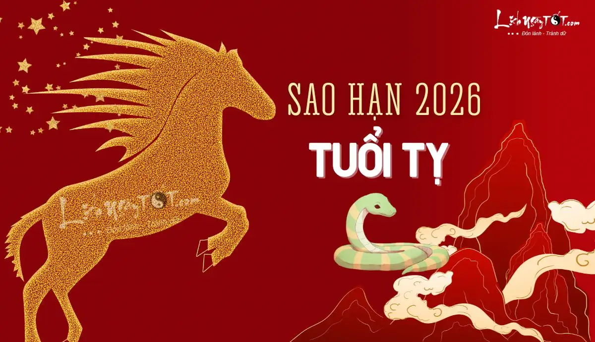 2k9 năm 2026 bao nhiêu tuổi